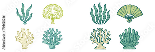 Collection of diverse underwater marine plants and coral reef elements set with various seaweed and aquatic flora