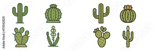 Stylized collection of green desert cactus plants featuring saguaro, prickly pear, and barrel shapes with subtle outlines