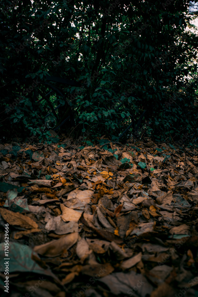Obraz premium A photo of wet fallen leaves and deep green grass with a gloomy atmosphere. Vertical wallpaper. Cloudy weather.