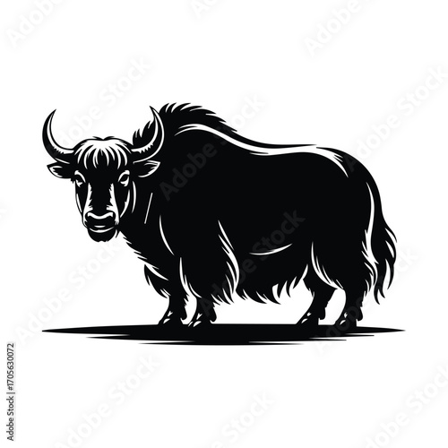 Black and white yak illustration standing confidently on white background detailed artwork