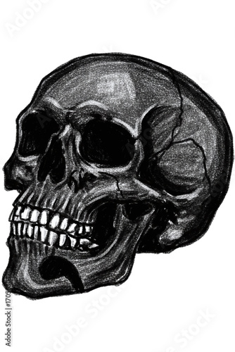 White skull on dark black background