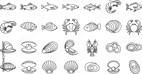 Collection of various seafood illustrations, featuring fish, shellfish, and crustaceans in a simple, sketched style
