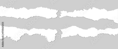 Collection of torn, ripped pieces of white color paper. Ripped paper strips