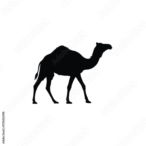 Dromedary Camel Silhouette Desert Trek Minimal Vector