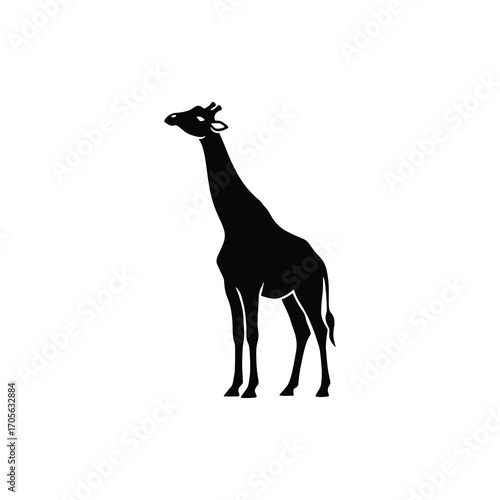 Elegant Adult Giraffe Standing Silhouette