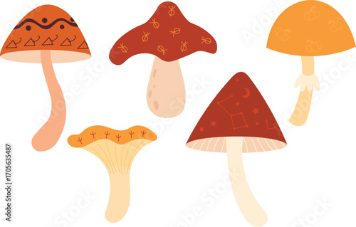 Mushroom set, cute hand drawn seasonal items. Vector illustration in flat style