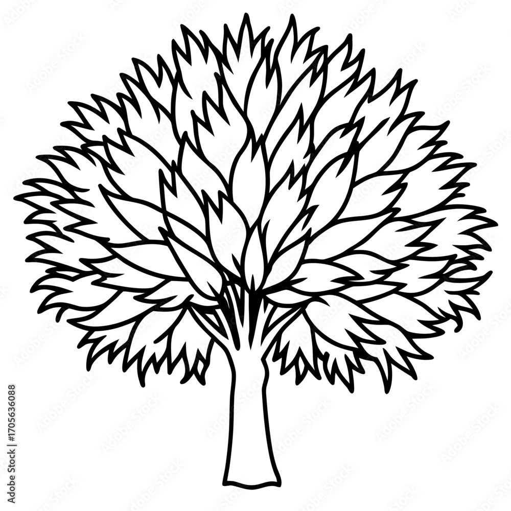 Obraz premium Fringe Tree line art vector