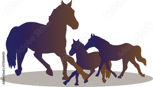 two horses on the white background