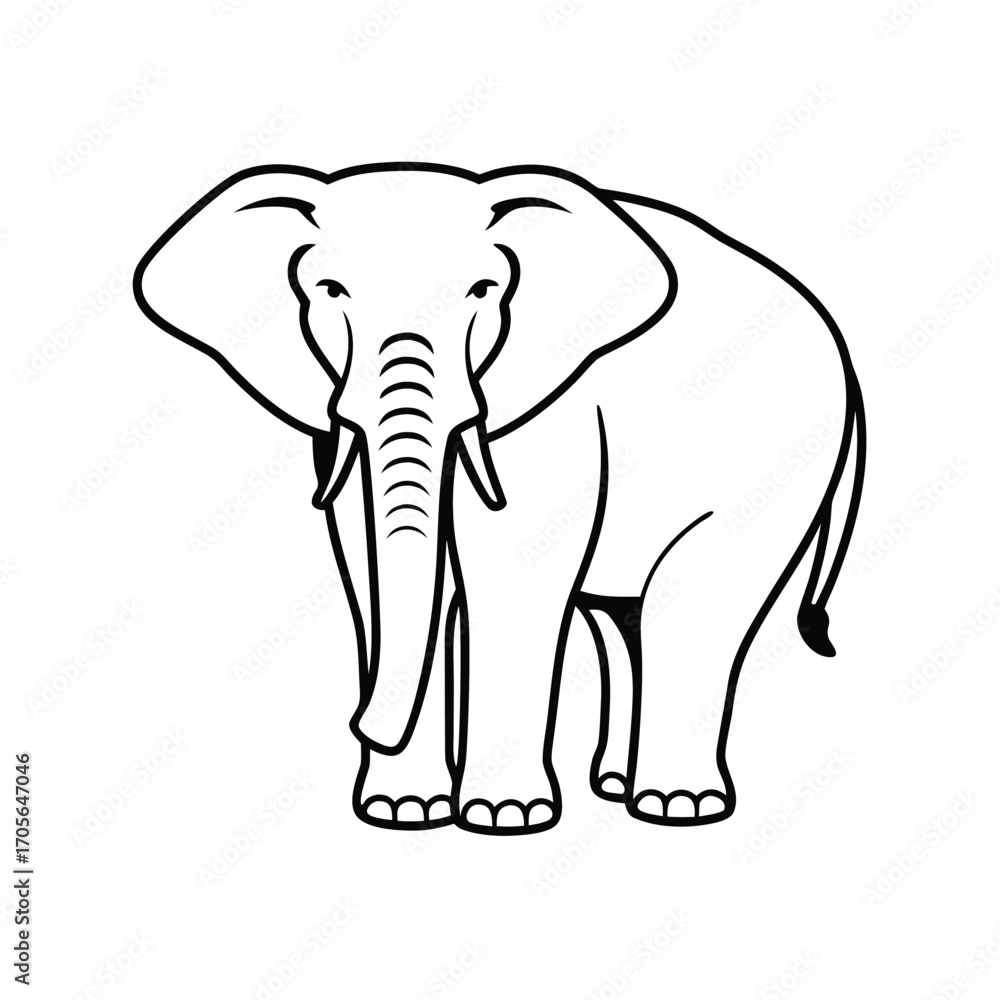 Fototapeta premium elephant isolated on white