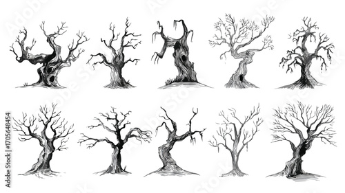 Spooky Haunted Trees Vector Cartoon Illustration Collection