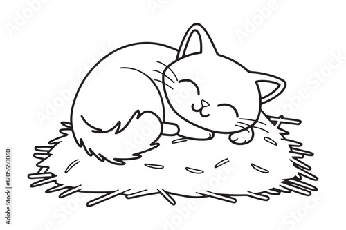 Cute Sleeping Kitten on a Hay Nest Black and White Line Art Drawing