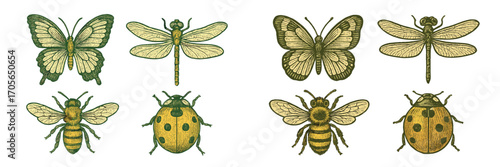 Beautiful assortment of vintage engraved insects featuring butterflies, dragonflies, bees, and ladybugs on a white background