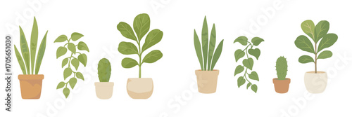 Collection of potted green houseplants like snake plant, cactus, and fiddle leaf fig in a natural style for home decor