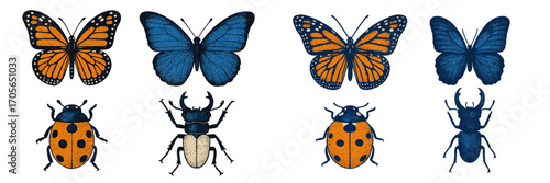 Collection of flying and crawling insects including monarch butterflies, blue butterflies, ladybugs, and stag beetles with textured wings