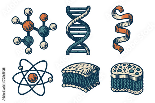 Fundamental scientific concepts and biological structures including DNA, atoms, molecules, and cell membranes