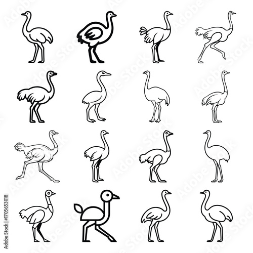 Ostrich Silhouette and Line Art Vector Icon Set