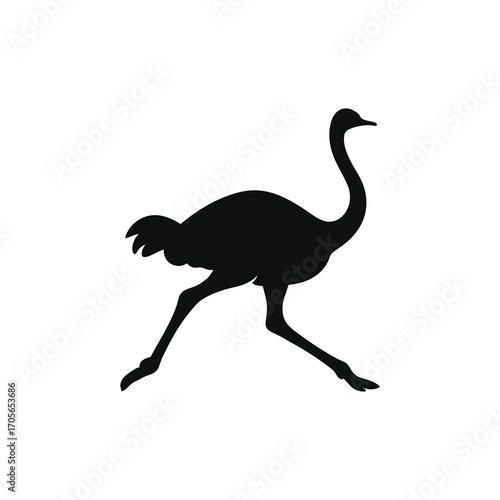 Running Ostrich Silhouette Fast Sprint Vector
