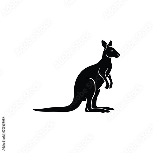 Sitting Kangaroo With Long Tail Silhouette