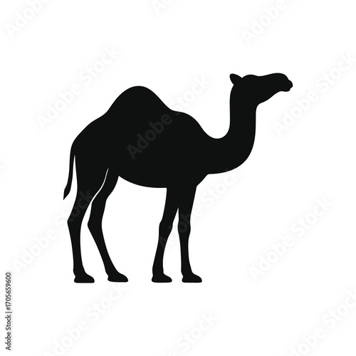 Standing Dromedary Camel Silhouette Clean Minimal Vector