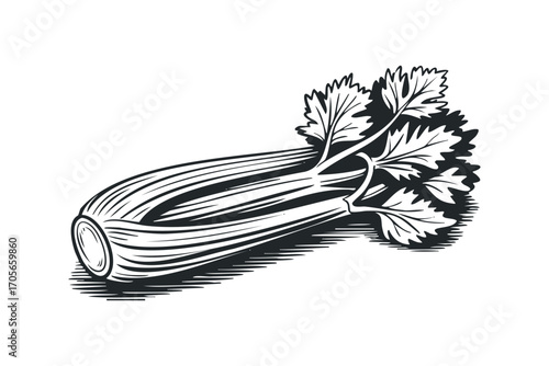 Black and white celery stalk with leaves, isolated on transparent background. Vector hand drawn illustration