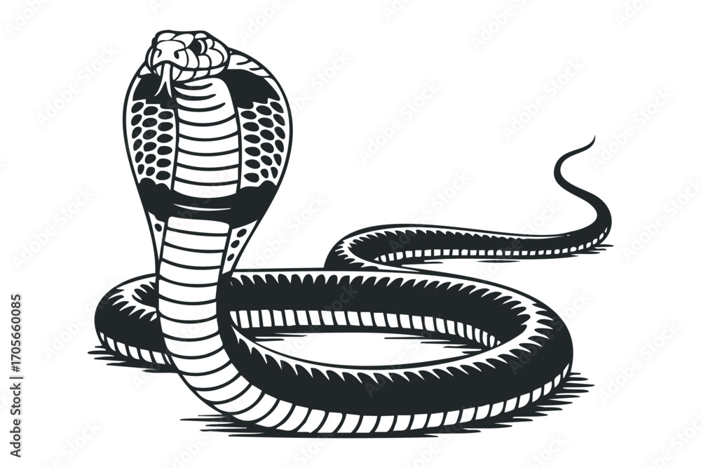 Fototapeta premium Black Cobra Snake for Design. Vector hand drawn illustration