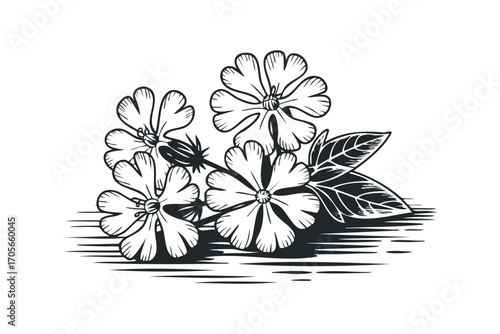 Line art drawing of delicate white flowers and leaves on a transparent background. Vector hand drawn illustration