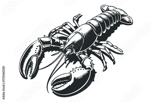 Detailed Ink Drawing of a Clawed Lobster on Transparent Background. Vector hand drawn illustration
