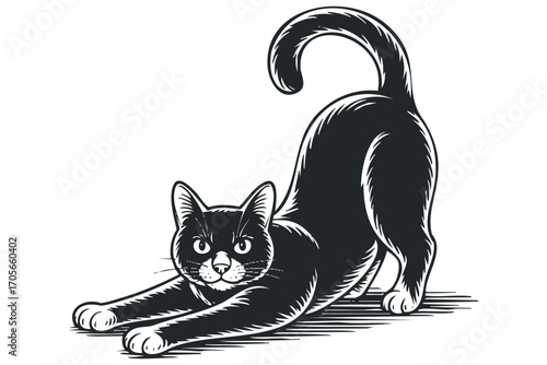 Black cat stretching on white with visible texture. Vector hand drawn illustration
