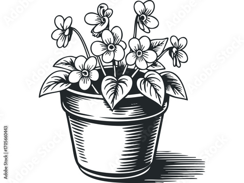 Potted flowering plant with leaves and shadow on transparent background. Vector hand drawn illustration