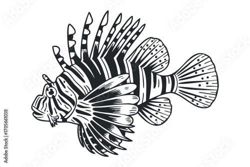 Lionfish outline transparent. Vector hand drawn illustration