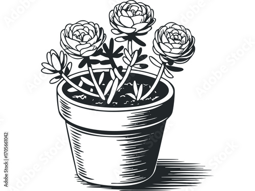 Potted Flower Blooms on Transparent. Vector hand drawn illustration