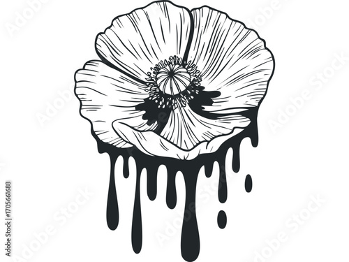 Black ink dripping from poppy flower head on transparent background. Vector hand drawn illustration