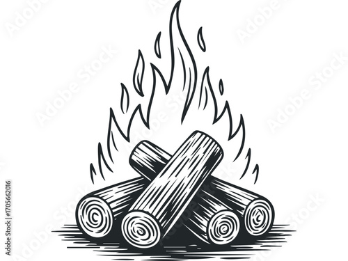 Campfire flame with logs on transparent background. Vector hand drawn illustration