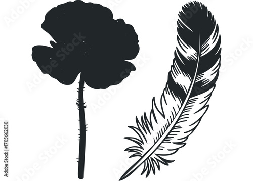 Silhouette of a single poppy flower and a bird feather on transparent background. Vector hand drawn illustration
