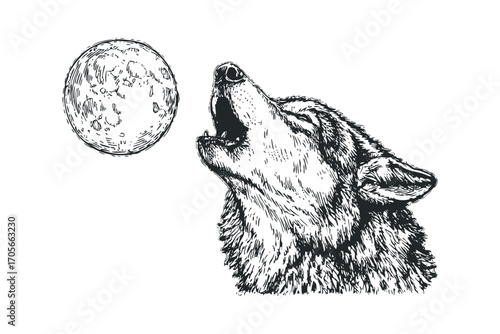 Wolf howling at moon sketch. Vector hand drawn illustration