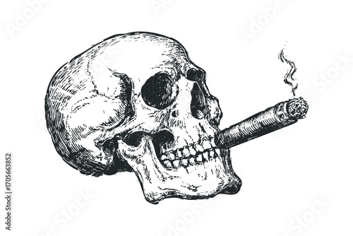 Sketchy Human Skull Smoking Cigar Transparent. Vector hand drawn illustration