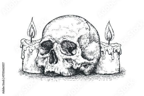 Hand drawn skull with burning candles. Vector hand drawn illustration