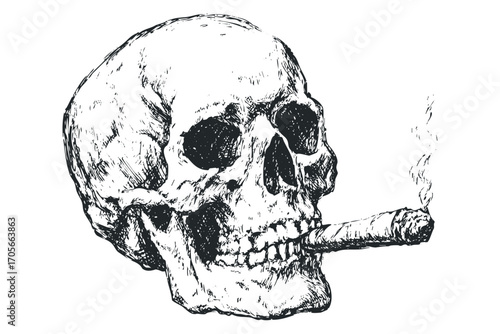 Grayscale skull with smoking cigar on transparent background. Vector hand drawn illustration