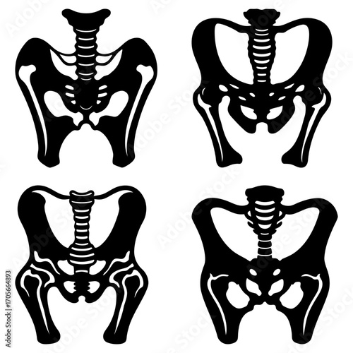Four stylized black and white pelvic bone structures arranged in a square grid pattern design
