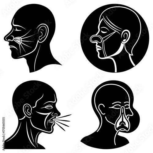 Illustration showing different types of respiratory masks and face coverings for health protection measures
