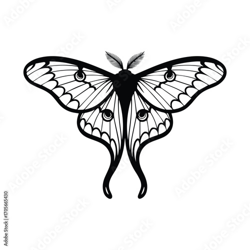 Elegant Luna Moth Illustration in Black and White for Graphic Design Projects