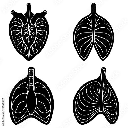 Four anatomical heart and lung illustrations in black and white showing internal structures and organ shapes
