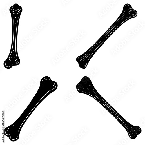 Illustration of four black bones in varying orientations on a white background in a cartoonish style
