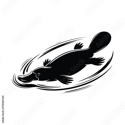 Elegant platypus vector illustration in black and white perfect for nature and wildlife projects