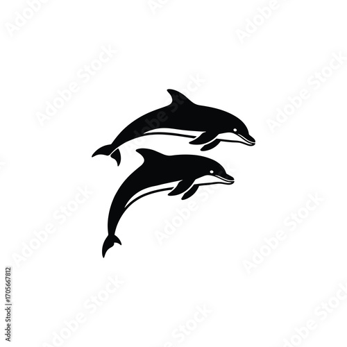 Two Bottlenose Dolphins Illustration