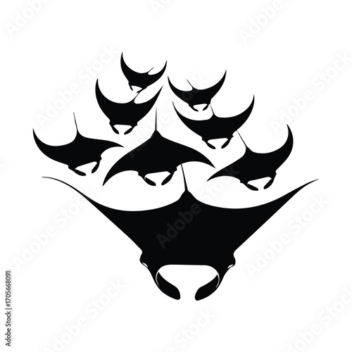 Elegant Silhouette of a School of Manta Rays Swimming Gracefully in Formation