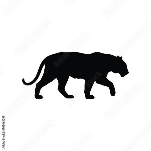 Walking Tiger Silhouette – Alert Stance