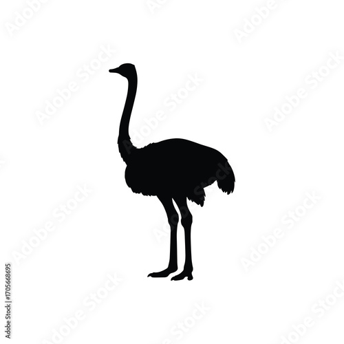 Standing Ostrich Silhouette Minimal Vector Side View