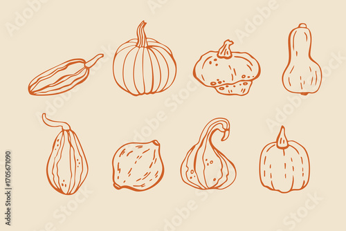 Trendy and fresh pumpkin icon vector linear illustration set with pumpkins in various shapes. Design elements for menu, autumn harvest, Halloween, Thanksgiving. Hand-drawn in doodle style.