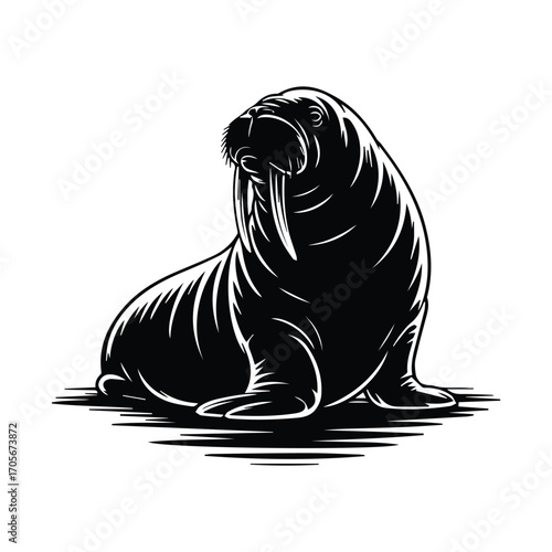 Majestic walrus illustration in black and white displaying Arctic animal beauty and power
